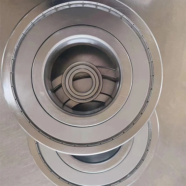 6000 Series Bearing